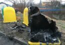 W SYLWESTRA podpalili kosze na śmieci w Ropczycach