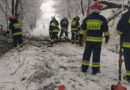 Strażacy interweniowali w sprawie powalonych drzew, tarasujących drogi [ZDJĘCIA]