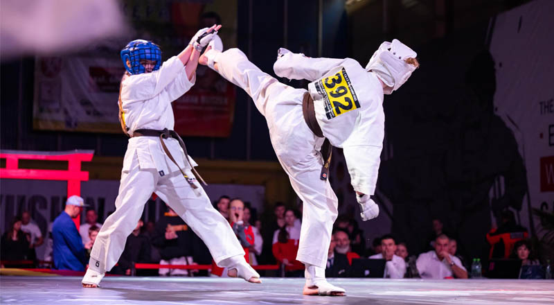 Mistrzostwa Europy Karate w Dębicy
