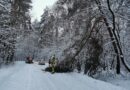 Po opadach śniegu strażacy usuwają połamane konary drzew