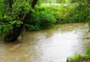 Intensywne opady deszczu powodują wzrost poziomu rzek w powiecie Ropczycko-Sędziszowskim