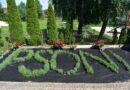 Uczestnicy PSONI Koło w Sędziszowie Małopolskim tworzą piękny ogród