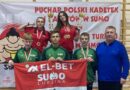 Zawodnicy SUMO Lubzina z kolejnymi medalami