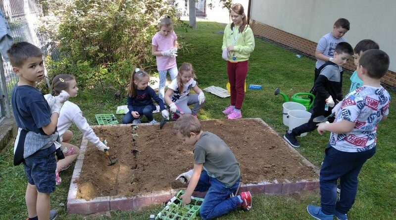 Mali Przyrodnicy-Ogrodnicy w szkole w Lubzinie