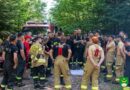Strażacy prowadzili poszukiwania w lesie, gasili pożar i ratowali rannych