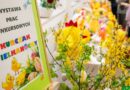 Blisko 200 prac w konkursie na „Kurczaka Wielkanocnego” – rozdano nagrody!