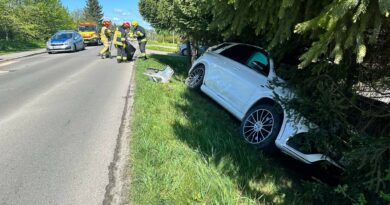 Kolizja w Iwierzycach. Sprawca ukarany mandatem
