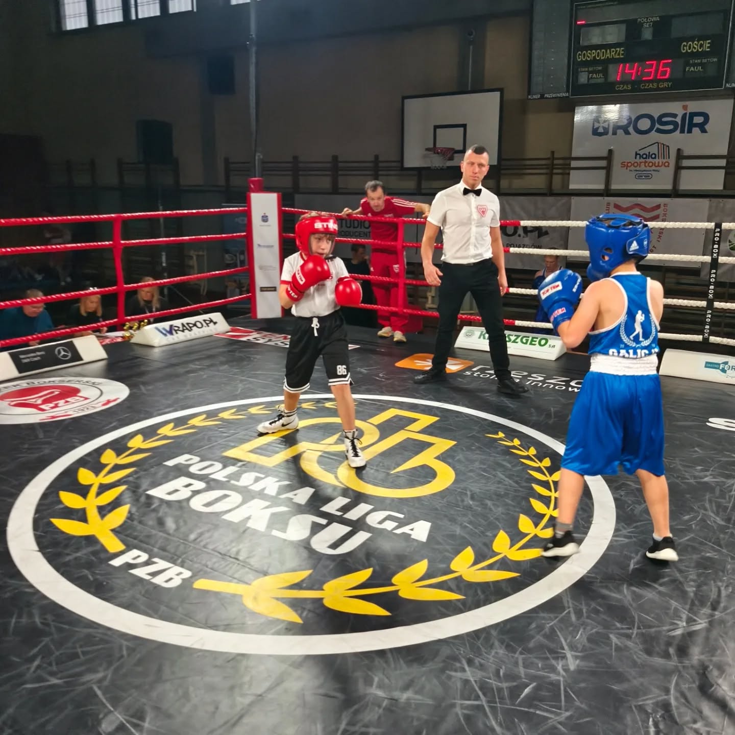 Młody pięściarz z Sędziszowa Małopolskiego zaprezentował się na Turnieju Młodych Wojowników