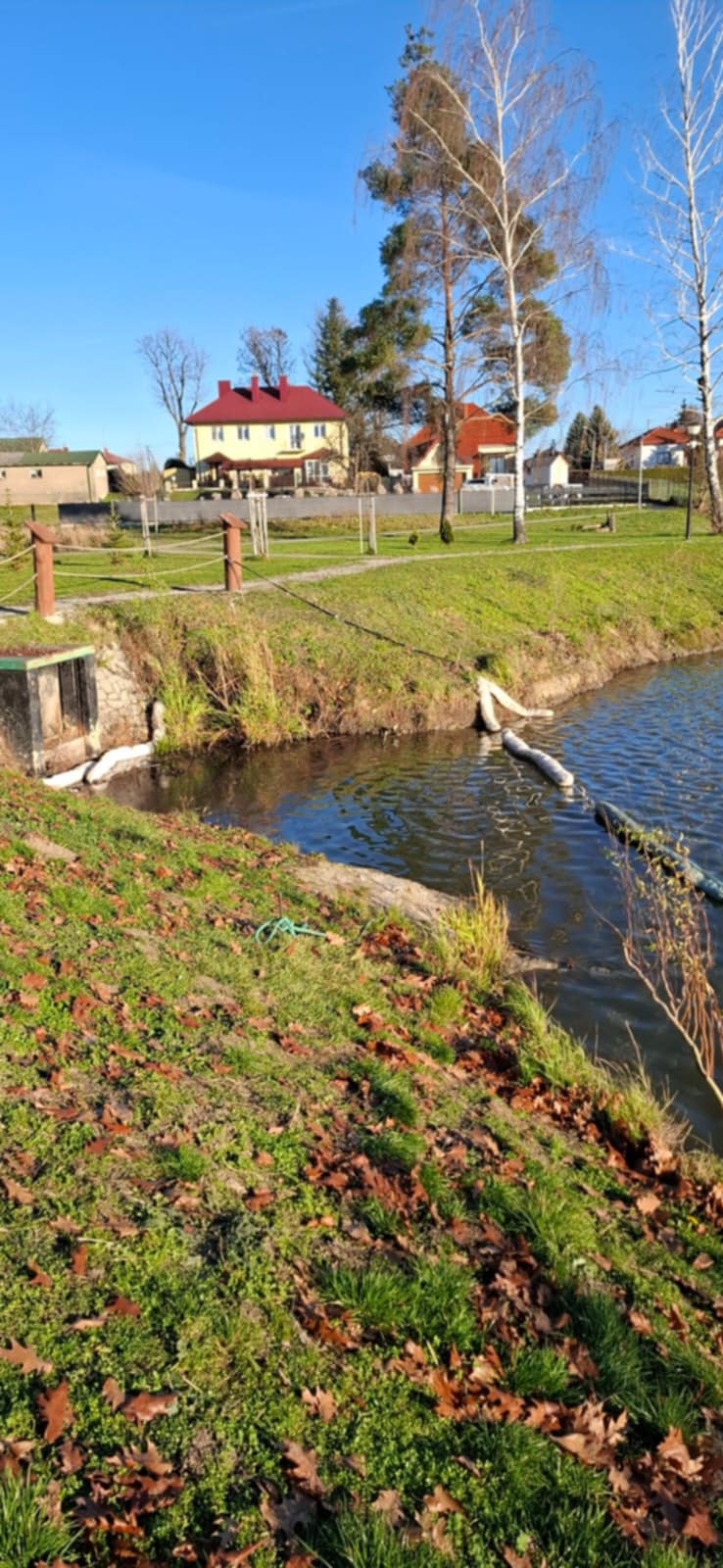 Zanieczyszczenie Stawu Skrzynczyna – zwołano Zespół Zarządzania Kryzysowego