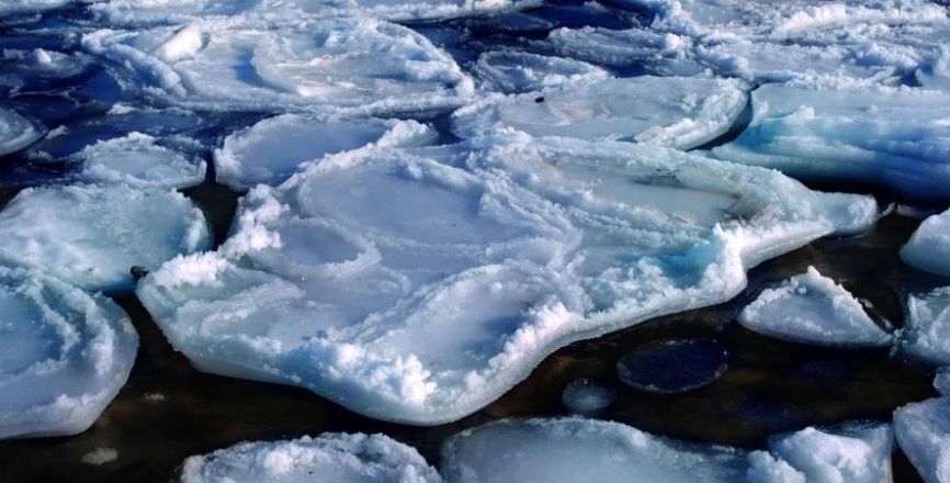 Apel MOSiR w Sędziszowie Małopolskim