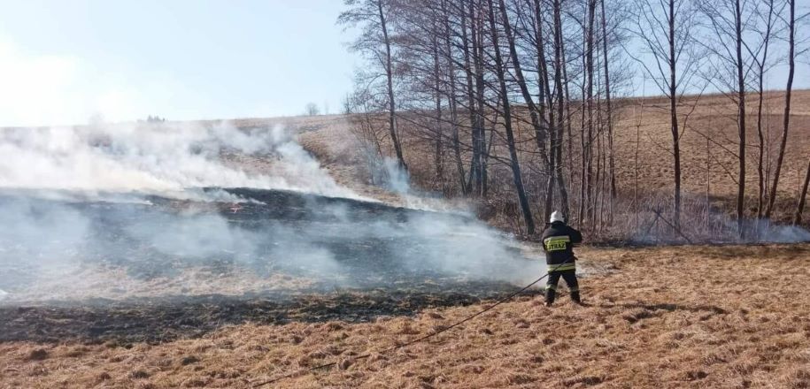 Wypalanie traw to śmiertelne niebezpieczeństwo. Za wypalanie surowe konsekwencje