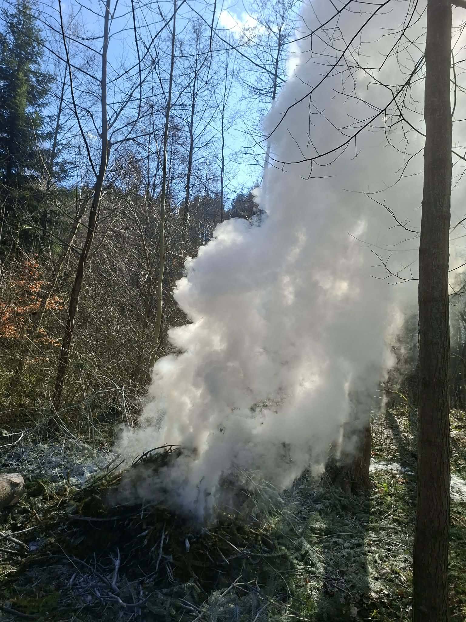 Pożar w lesie w miejscowości Mała. Interweniowały trzy jednostki