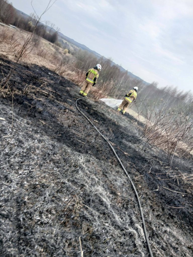 Pożar traw w Nawsiu