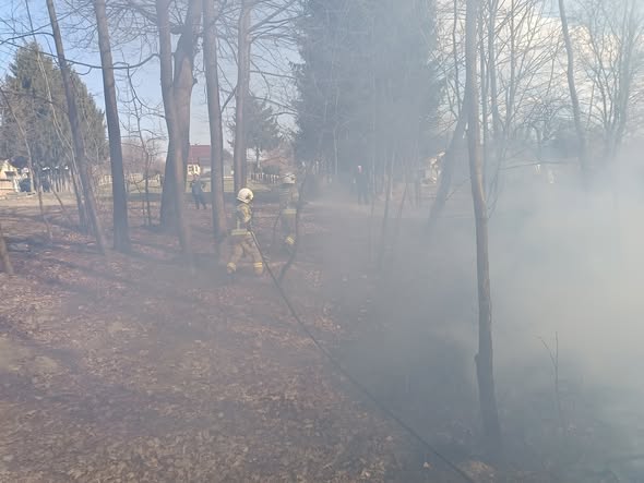 Kolejne pożary nieużytków