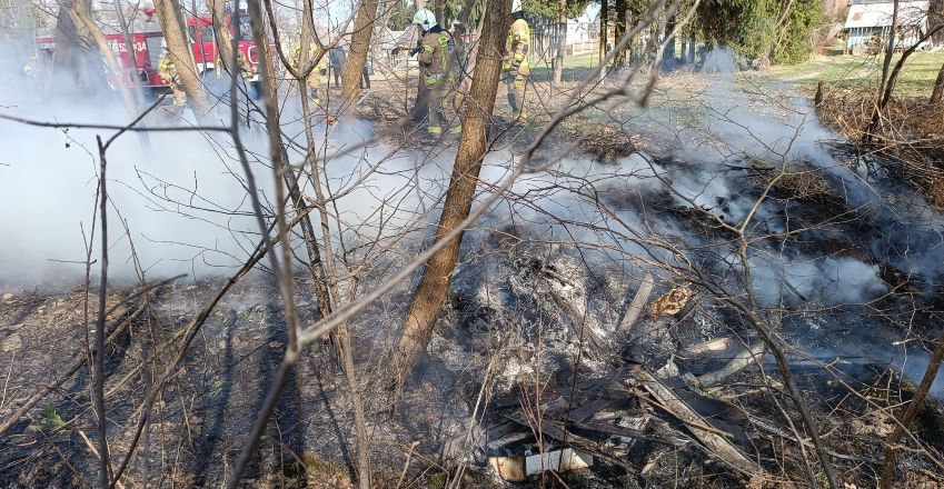 Kolejne pożary nieużytków