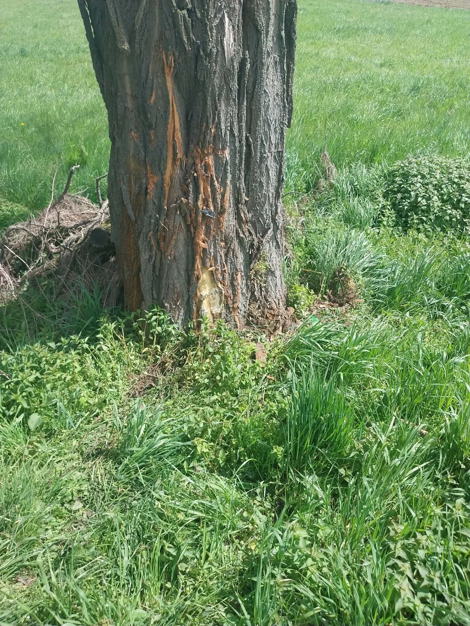 Zderzenie samochodu z motocyklem