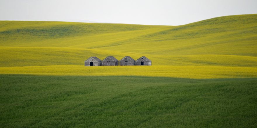 Rozpoczynają się konsultacje społeczne planu ogólnego Gminy Ropczyce. Pierwsze spotkanie już dziś